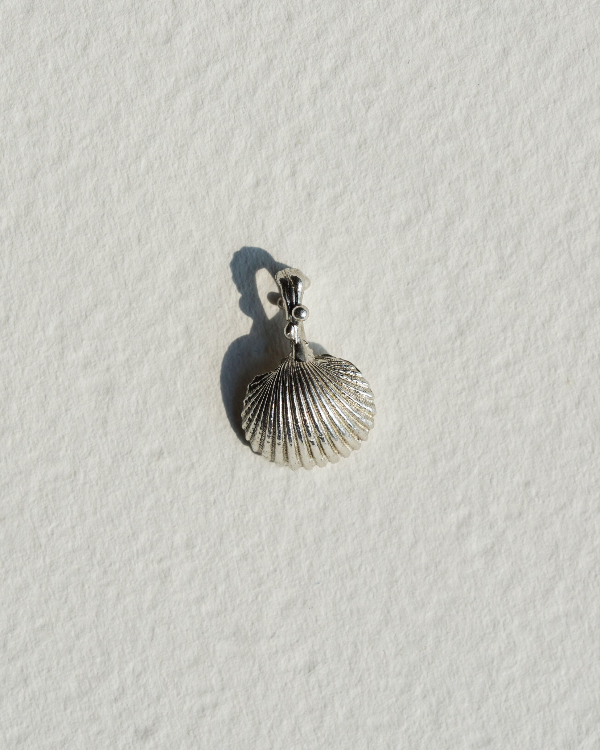 Classic Seashell
