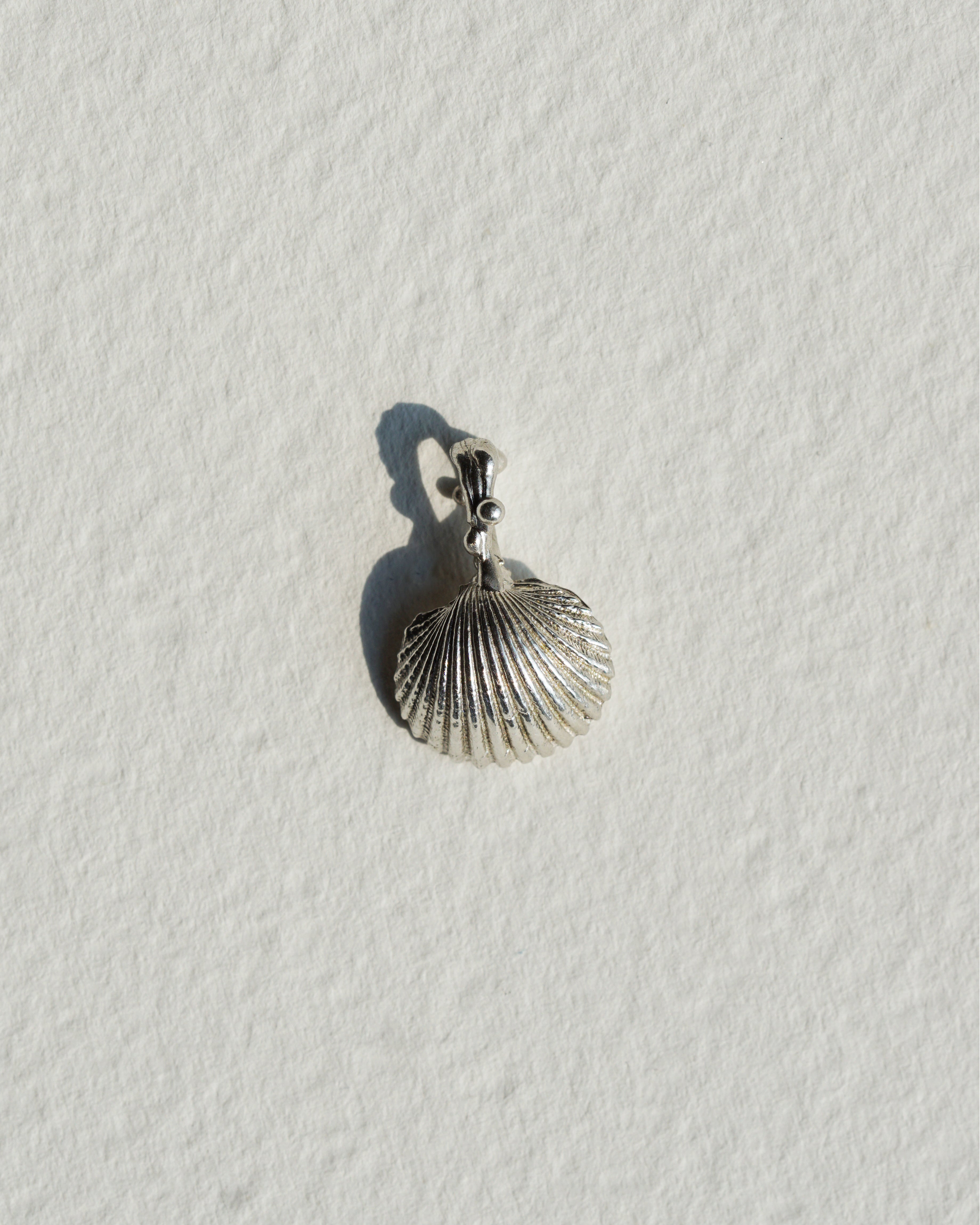 Classic Seashell