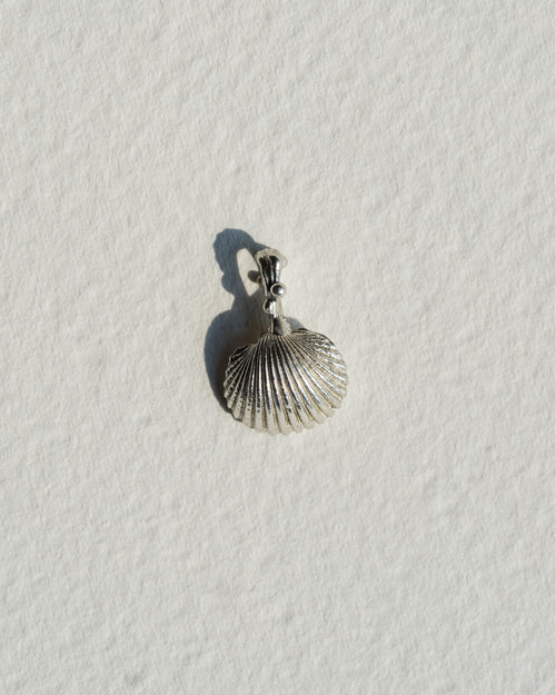 Classic Seashell